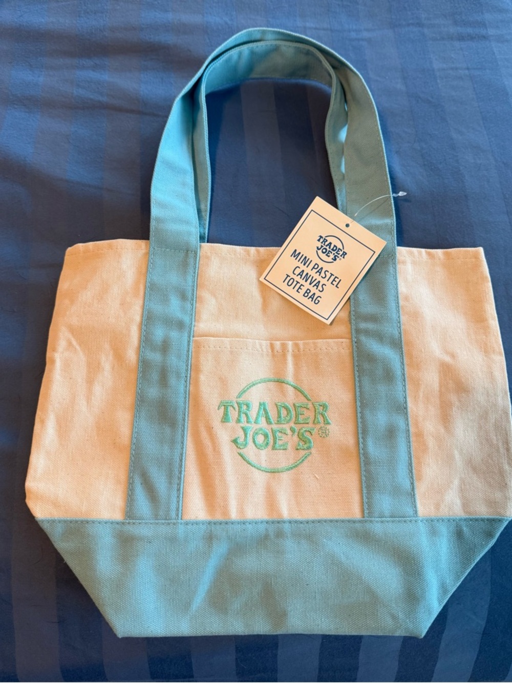 Trader Joe's Pastel Canvas Mini Tote Bag in Light Blue and Cream